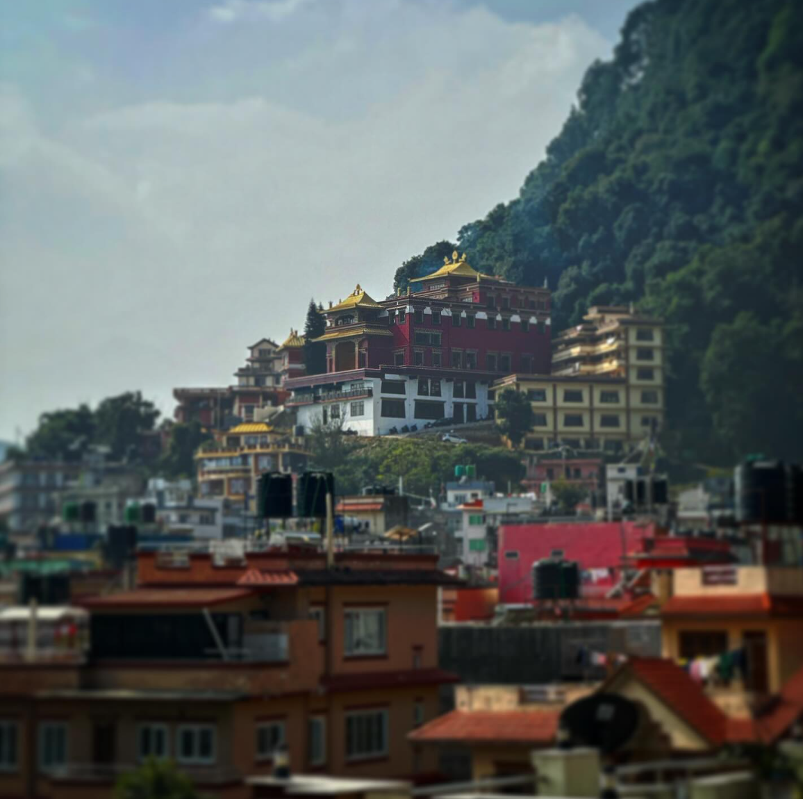 Terrace with city and mountain views at House of Forrest